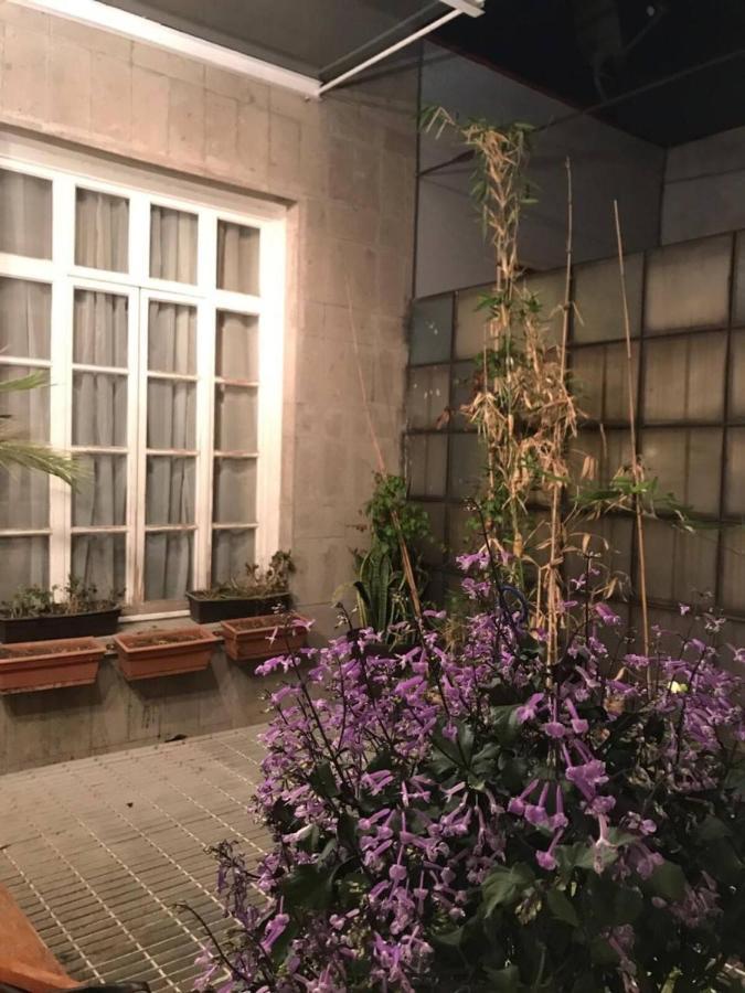 墨西哥城 Casa Turin酒店 外观 照片